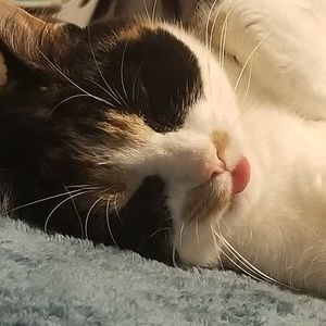 Meet your Posher, Jana